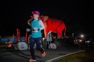 BIB: 
                            <button type="button" onclick="openModal(26551799)" class="btn btn-primary btn-sm float-right btn-popup" data-toggle="modal" data-target=".modal-high-quality">
                        <i class="fas fa-shopping-cart"></i> Add to Cart
                    </button>
                                            <button type="button" onclick="isThisMe(26551799, true)" class="btn btn-success btn-sm float-right btn-popup btn-isme hidden" data-toggle="tooltip" data-placement="bottom" title="นี่คือรูปของคุณใช่ไหม คลิกที่นี่เพื่อเอาเข้าอัลบั้ม">
                        <i class="fas fa-plus"></i> Add to album
                    </button>
                    <button type="button" onclick="isThisMe(26551799, false)" class="btn btn-warning btn-sm float-right btn-popup btn-isnotme hidden">
                        <i class="fas fa-ban"></i> Remove from album
                    </button>